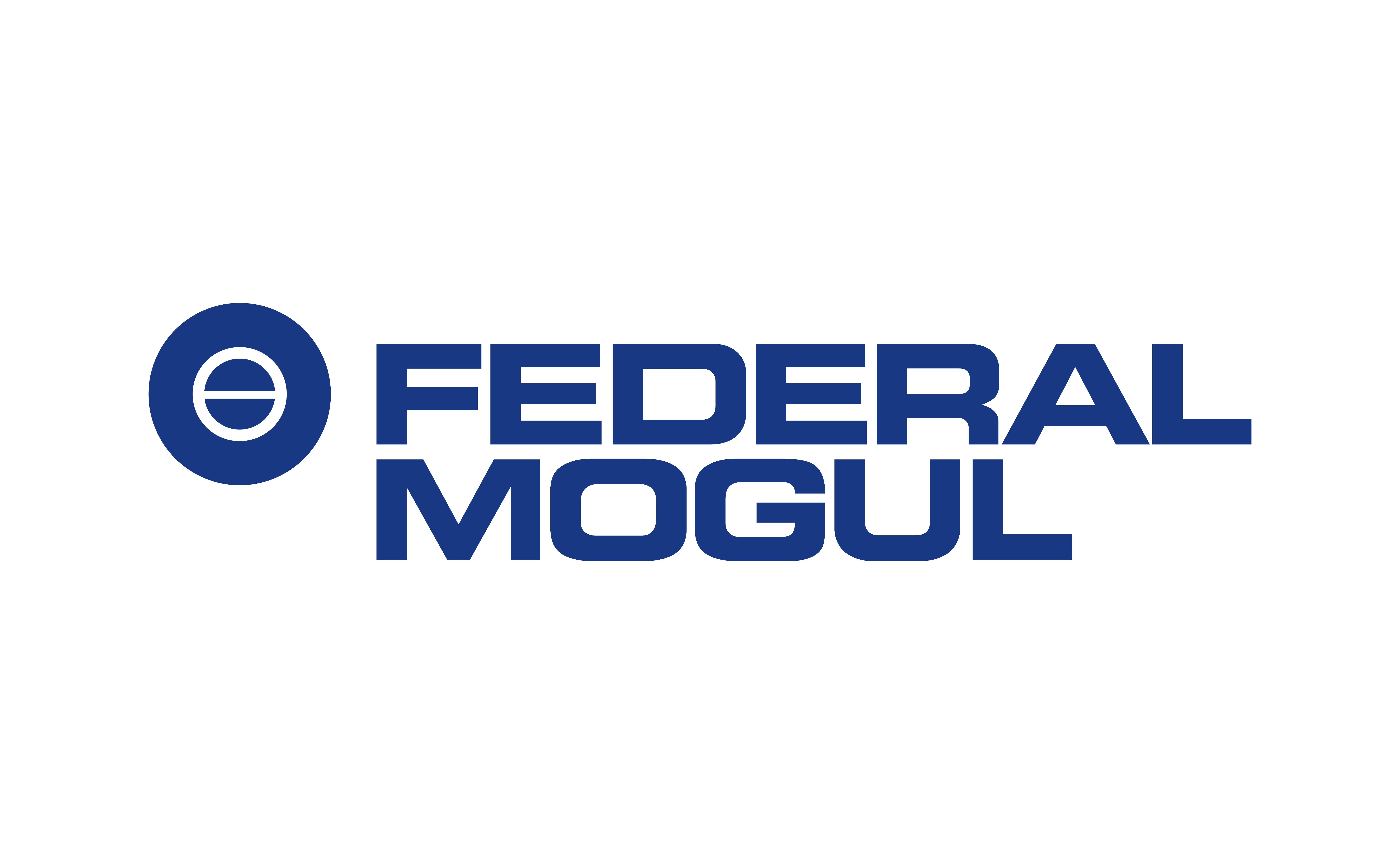 FEDERAL MOGUL